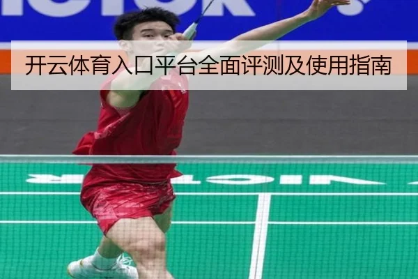 开云体育入口平台全面评测及使用指南